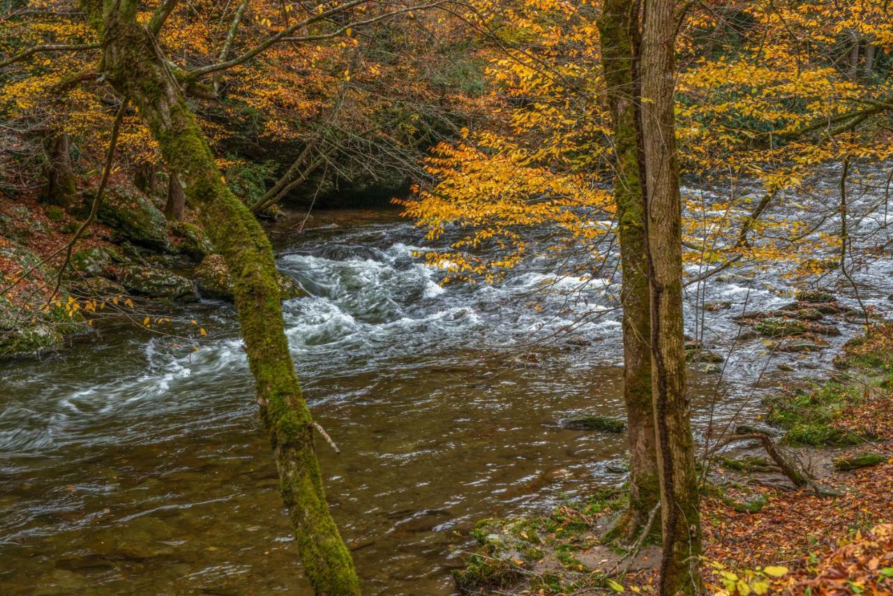 Fox Hollow Little Cove Екстериор снимка